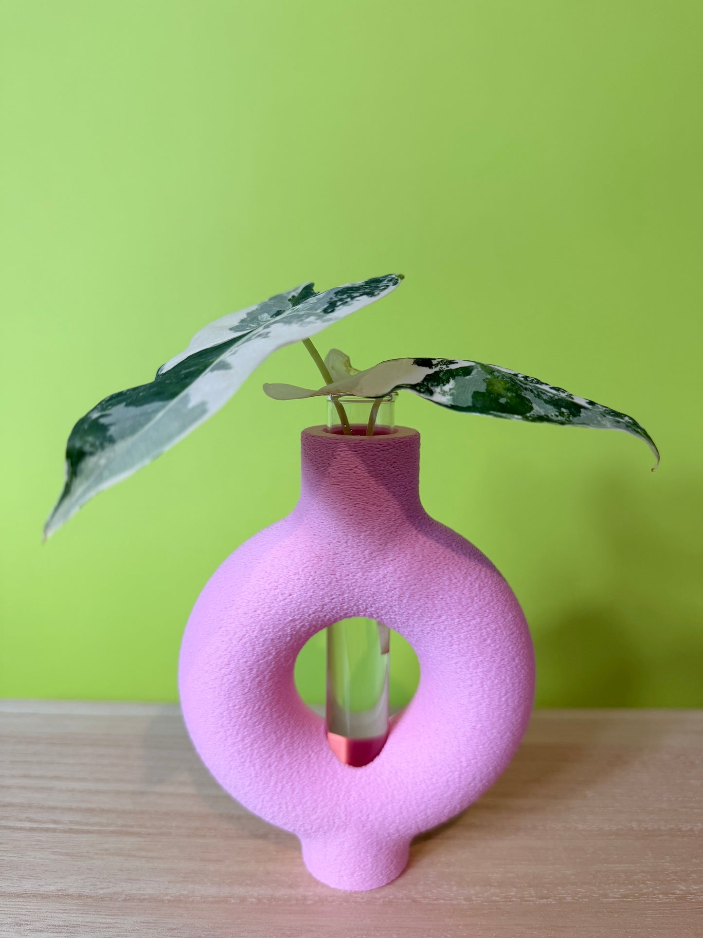 Rooted Propagation Station