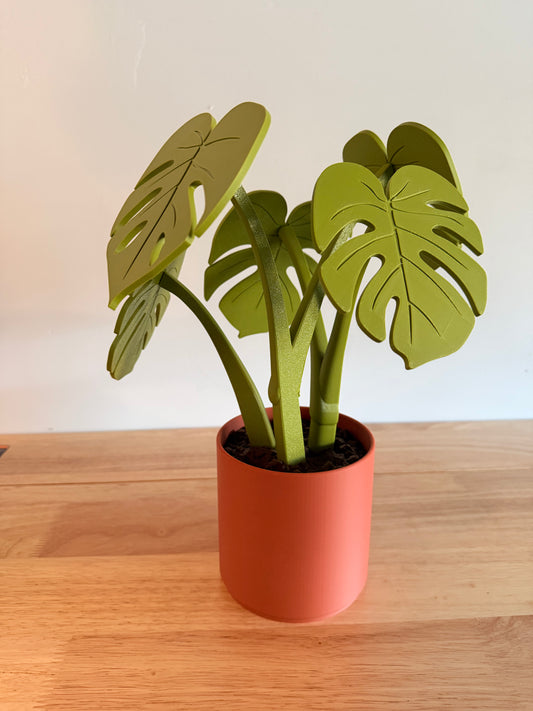 Monstera Plant Coaster Set